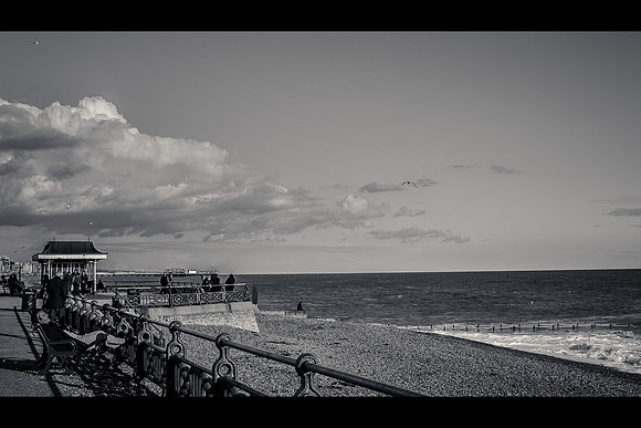 Andy Cutler - Hove