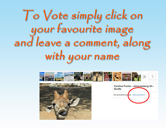 Voting Instructions