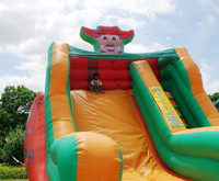 SAS Summer Party 2015_3522