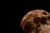 Alan Brown - March Moon