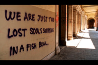 Alan Brown - Wish You Were in Padua