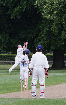 Cricket SAS vs Centrica_5869